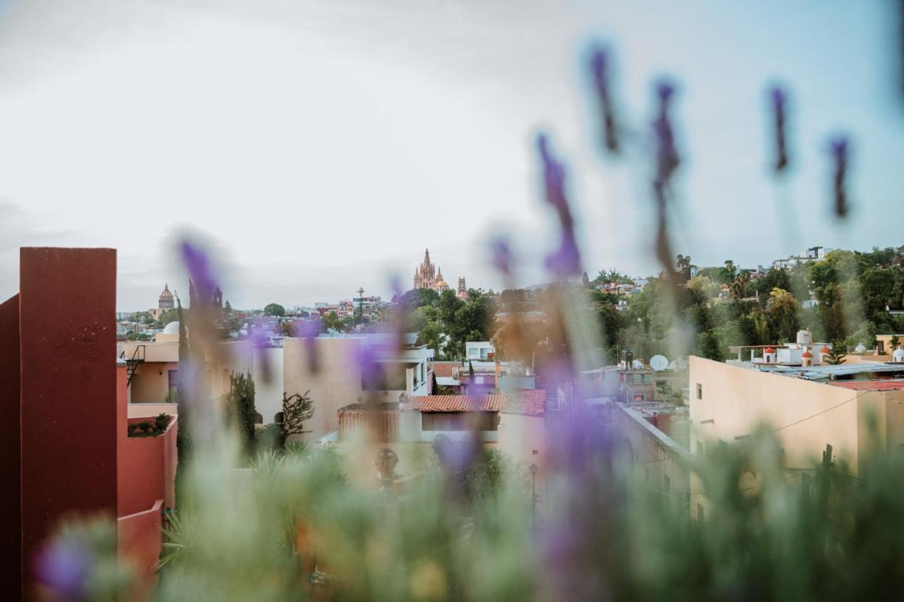 El Golpe De Vista Hotell San Miguel de Allende Eksteriør bilde